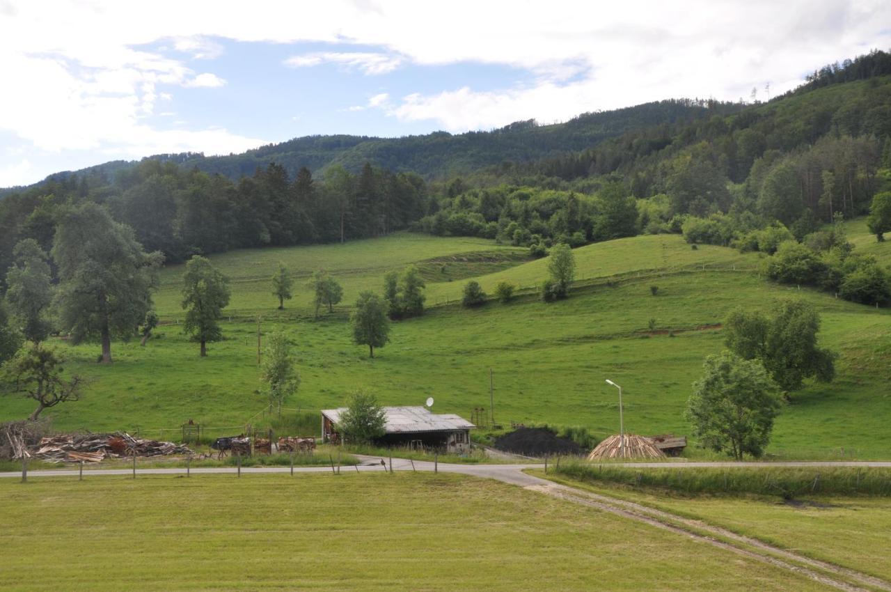 Mostheuriger Steyrdurchbruchalm Leonstein Extérieur photo