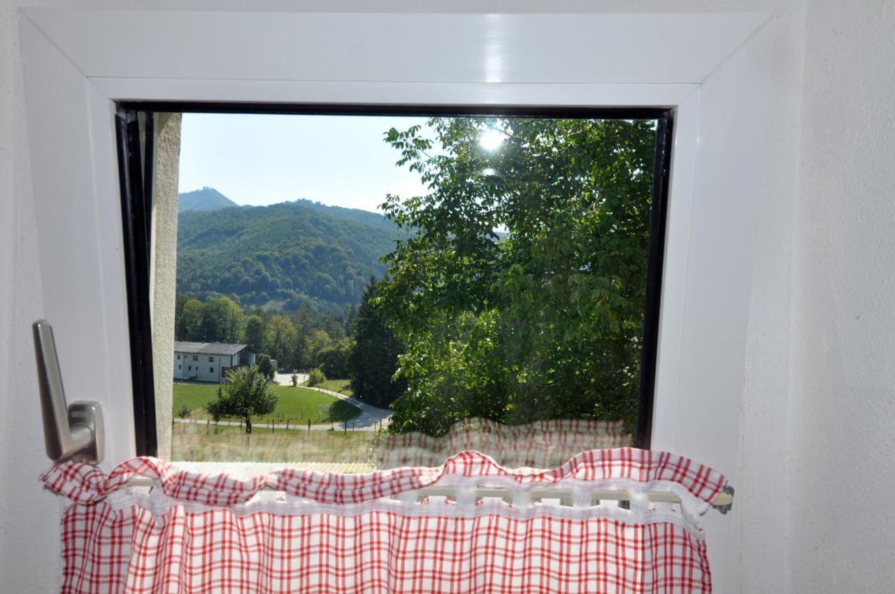 Mostheuriger Steyrdurchbruchalm Leonstein Extérieur photo